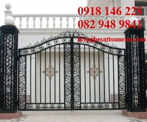 Cửa cổng sắt mỹ thuật CCS67
