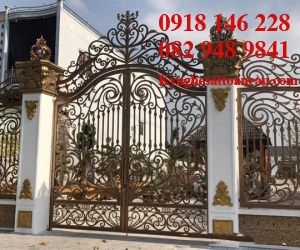 Cửa cổng sắt mỹ thuật CCS93