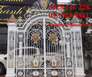 Cửa cổng sắt mỹ thuật CCS34