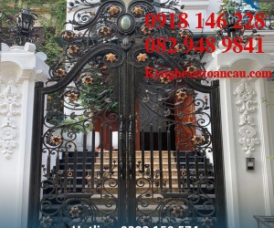 Cửa cổng sắt mỹ thuật CCS113