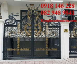 Cửa cổng sắt mỹ thuật CCS13